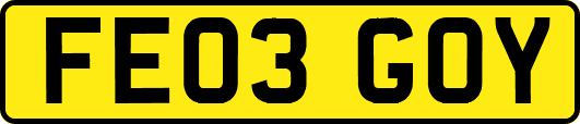 FE03GOY