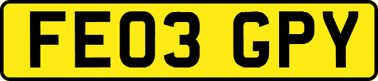 FE03GPY