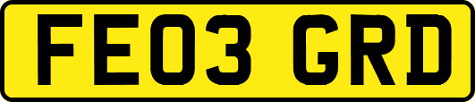 FE03GRD