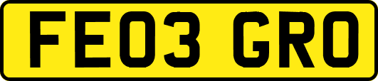 FE03GRO