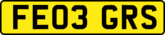 FE03GRS