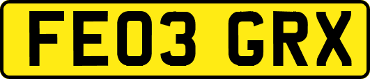 FE03GRX