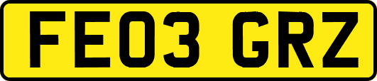 FE03GRZ