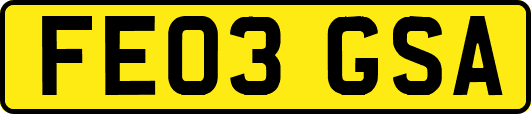FE03GSA
