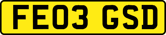 FE03GSD