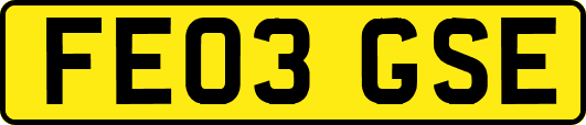 FE03GSE