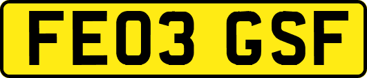 FE03GSF