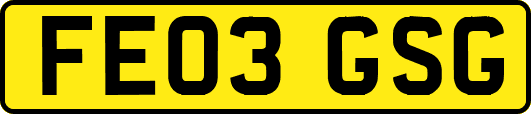 FE03GSG