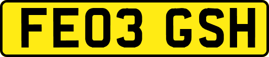 FE03GSH