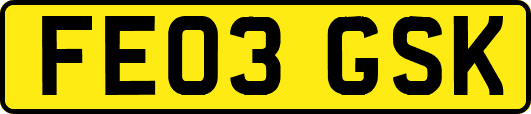 FE03GSK