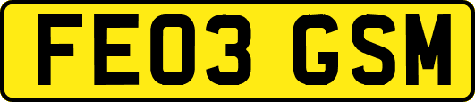 FE03GSM