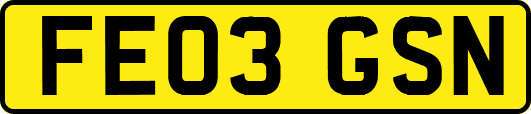FE03GSN