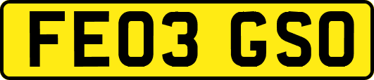 FE03GSO