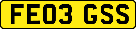 FE03GSS