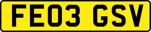 FE03GSV