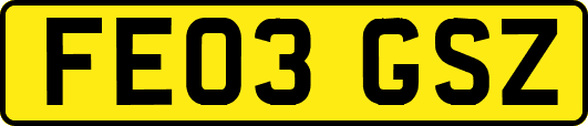 FE03GSZ