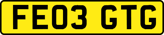 FE03GTG