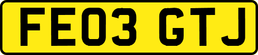 FE03GTJ
