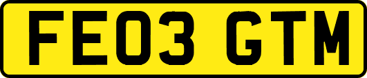 FE03GTM