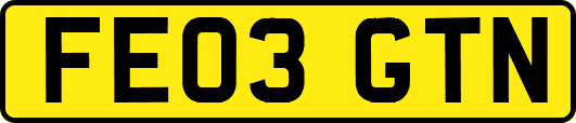 FE03GTN