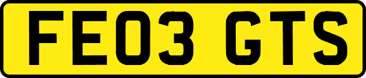 FE03GTS