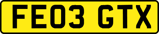 FE03GTX