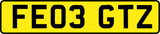 FE03GTZ