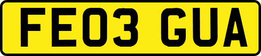 FE03GUA