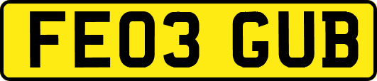 FE03GUB