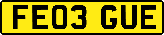 FE03GUE