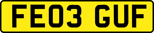 FE03GUF