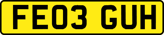FE03GUH