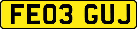 FE03GUJ
