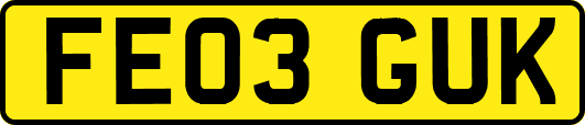 FE03GUK