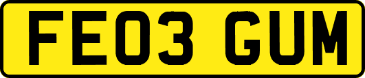 FE03GUM