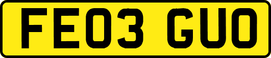 FE03GUO