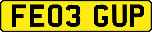 FE03GUP