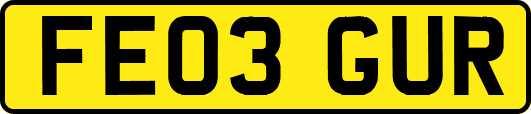 FE03GUR