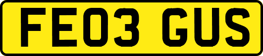 FE03GUS