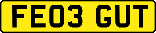 FE03GUT