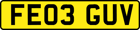 FE03GUV