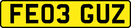 FE03GUZ