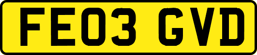 FE03GVD
