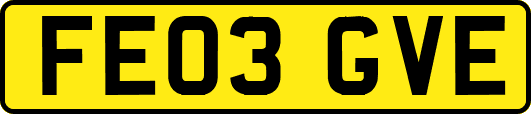 FE03GVE