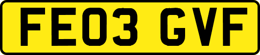 FE03GVF