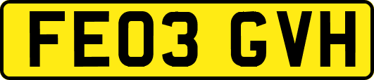 FE03GVH
