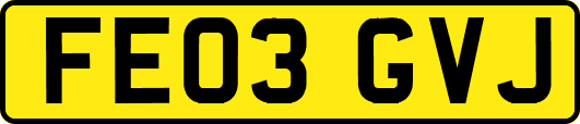 FE03GVJ
