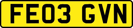 FE03GVN