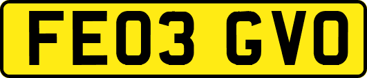 FE03GVO