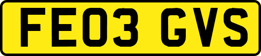 FE03GVS